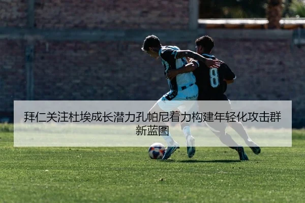 img_1783240418048_217_1_816.jpg